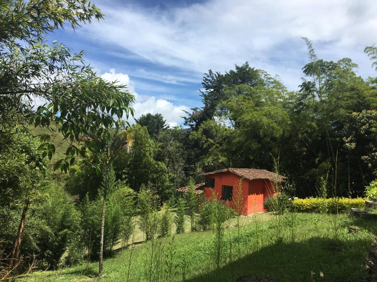 Ecolodge Bahia Del Penon Guatapé エクステリア 写真