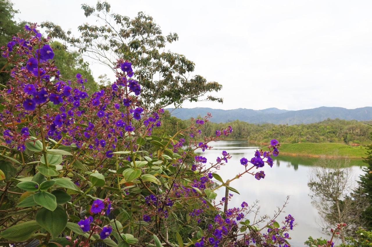 Ecolodge Bahia Del Penon Guatapé エクステリア 写真