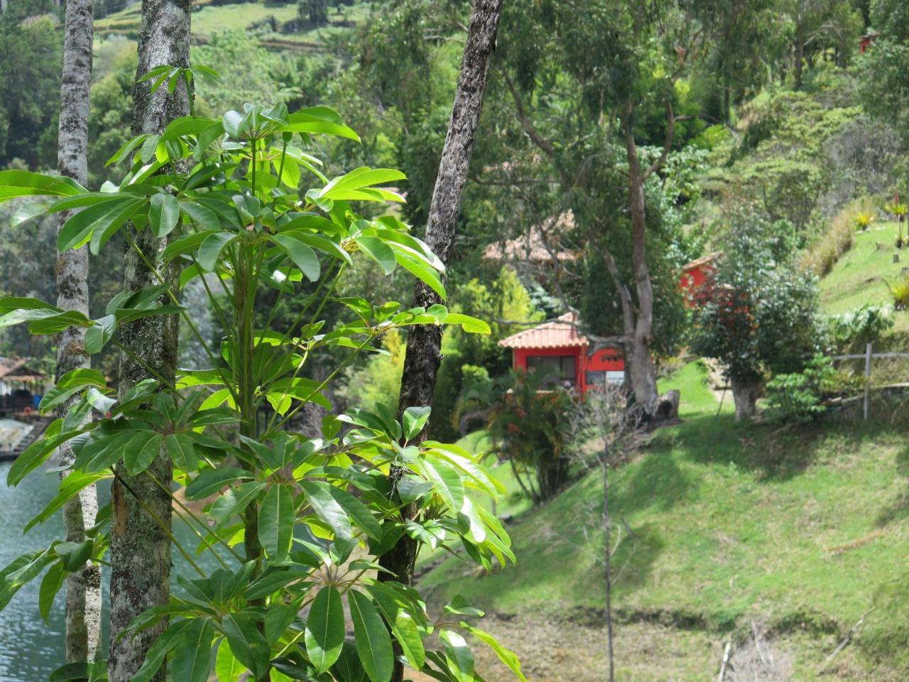 Ecolodge Bahia Del Penon Guatapé エクステリア 写真